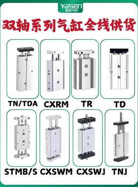 双杆双轴气缸长779行程加长大推力TN6/20/25/32-2010X300X400型0X