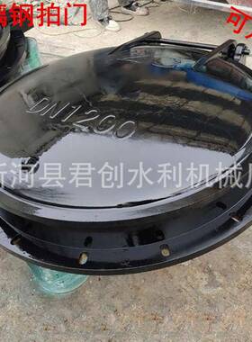 泵拍站河道防灌门铸铁不锈钢浮倒CWI玻璃钢复合材料止箱回水利闸