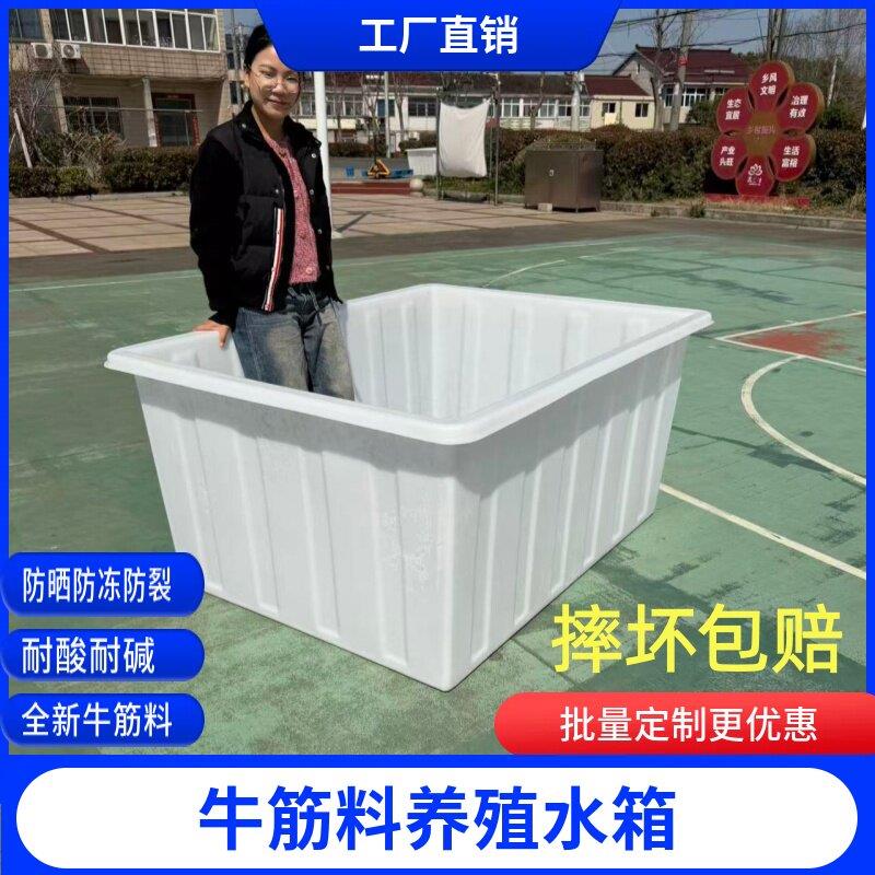 牛筋塑料水箱水桶加厚长方形养殖浅盆瓷砖卖鱼酿酒养鱼周转箱水箱