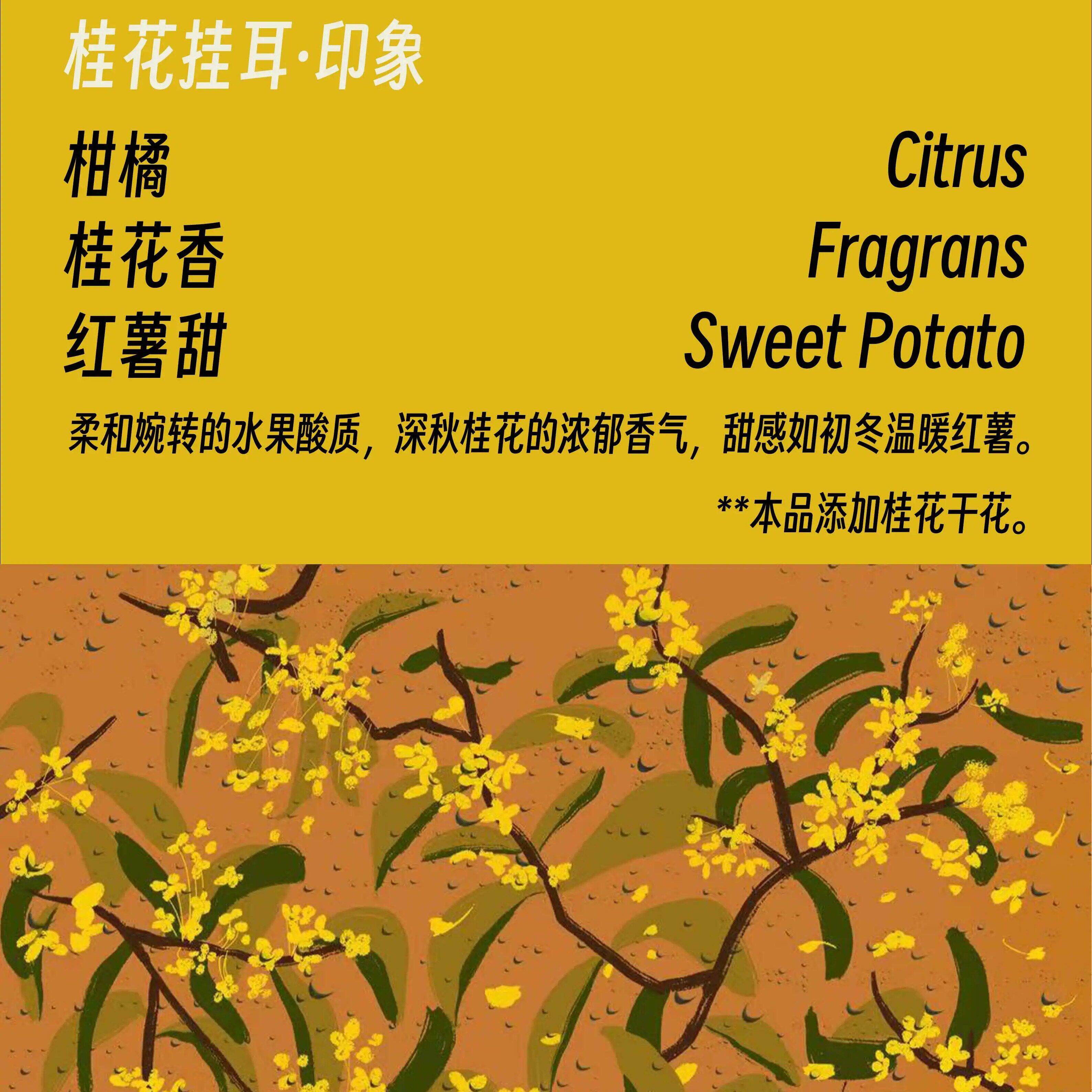 桂花耳挂 熊拉图可携式手冲黑咖啡