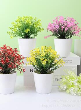 仿真盆栽植物装饰摆件室内造景花卉小盆景家居桌面摆设绿植