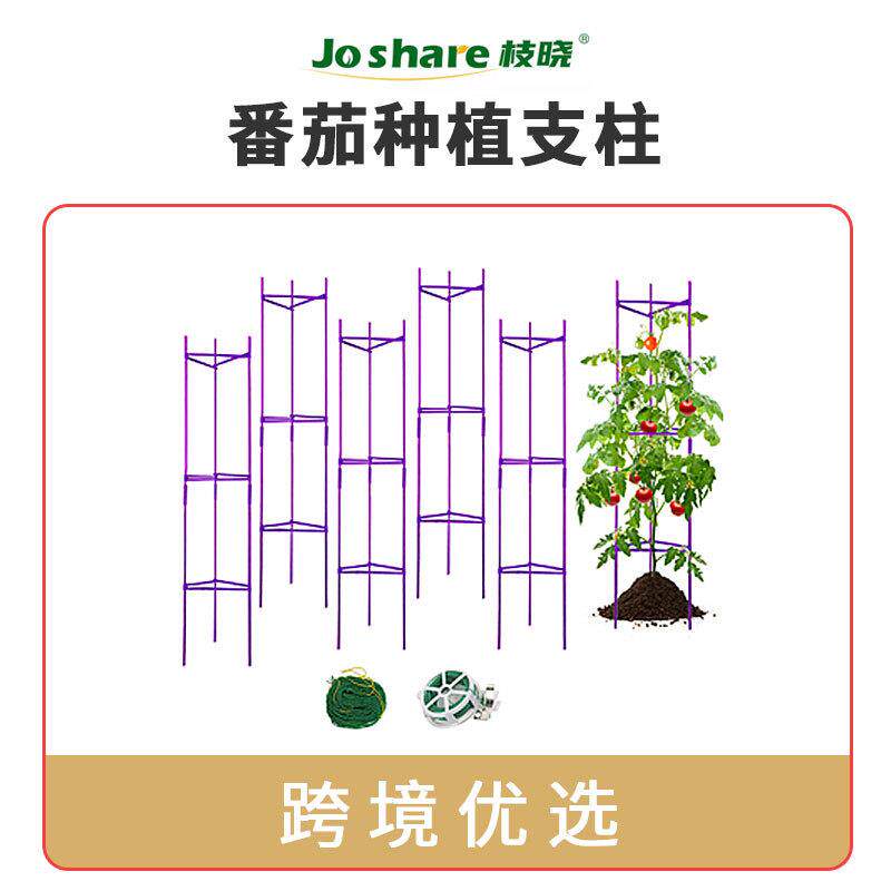 枝晓番茄种植支柱 植物生产种植杆紫色红色跨境箱装6PS包塑钢管架