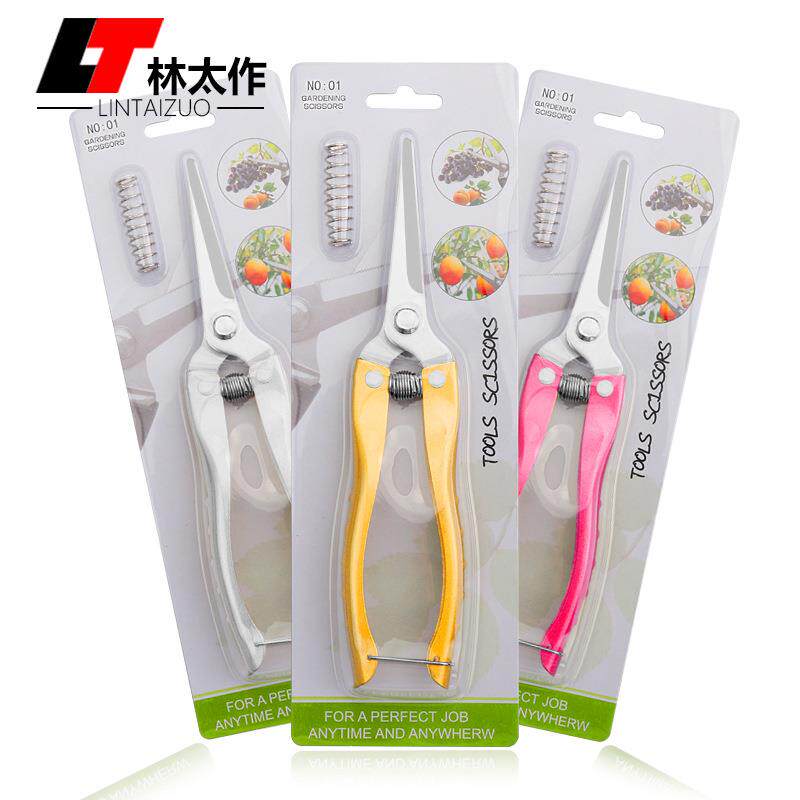 不锈钢喷漆彩色手柄稀果剪刀长中小嘴直头摘果剪花椒草莓水果摊剪