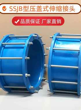 AY型压盖式伸缩接头法兰短节管道ssjb松套限位伸缩节高温耐腐蚀