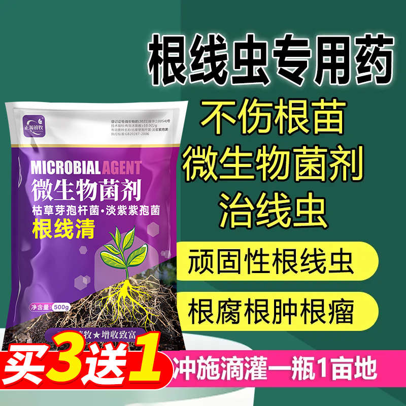 根结线虫专用淡紫紫孢菌黄瓜西瓜柑橘小麦水稻大棚辣椒线虫冲施肥