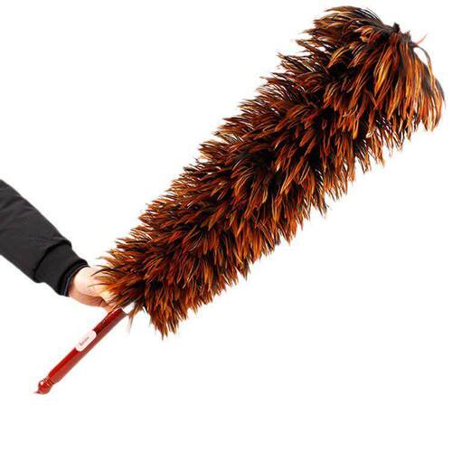 A real feather duster doesn't shed feathers真鸡毛掸子家