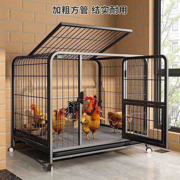 鸡笼子鸡舍鸡窝家用大号养殖笼自动清粪鸭笼铁丝网阳台户外家禽笼