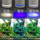 工厂直供鱼缸水草筒灯变色可调草缸照明灯爆藻支架led小型夹灯