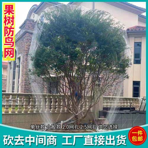 果树防鸟罩嘉宝果枇杷樱桃蓝莓果园尼龙防护网菜地阳台鸟防网