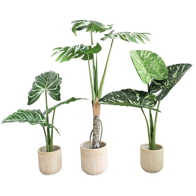 仿生绿植龟背树热带雨林仿真绿植家居装饰超大叶片海芋植物假盆栽