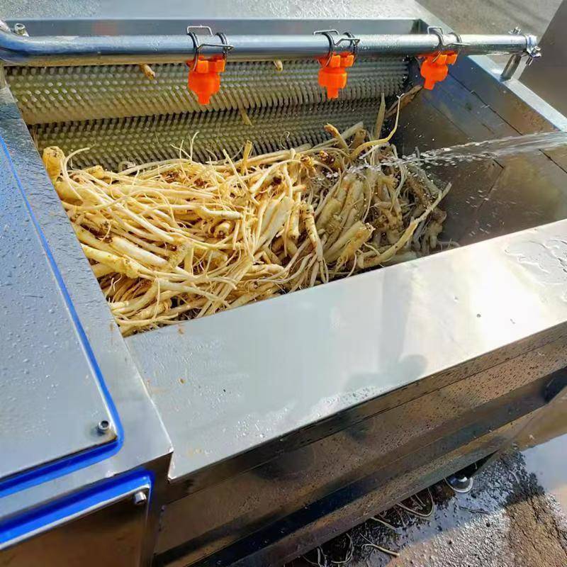 大型去鱼鳞毛刷清洗设备食品级材质制作商用全自动天麻毛辊清洗机