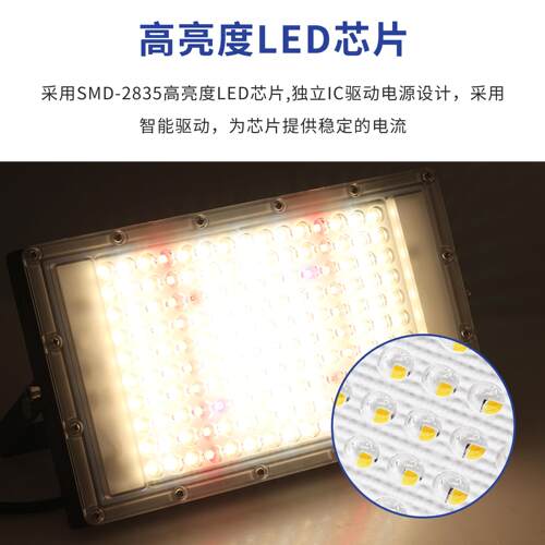 LED植物补光灯300W植物生长灯全光谱多肉家用上色补光灯带支架