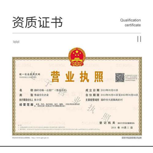 家用220V小型潜水泵高压清水抽水机家庭供水花园果园浇地潜水电泵