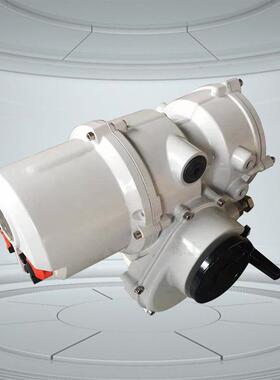 罗托克SYT028SYTM028SYT038SYTM038部分回转电动装置