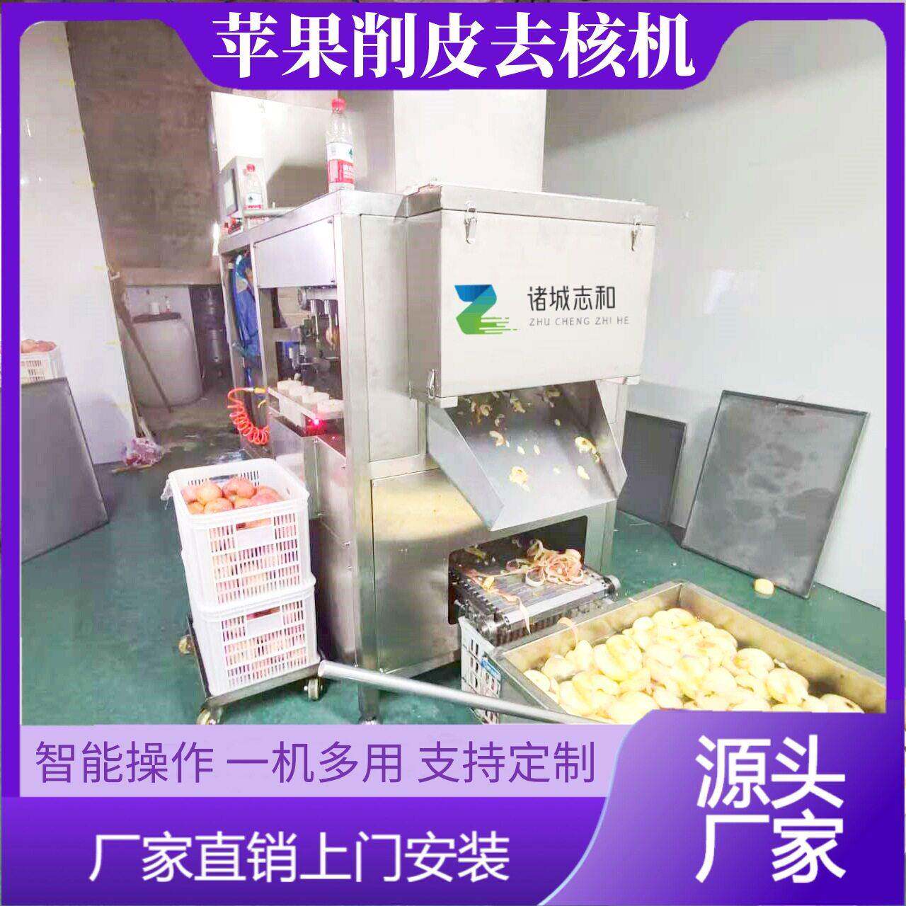 大型水果削皮机商用苹果去皮机梨子削皮去核分瓣一体机多功能