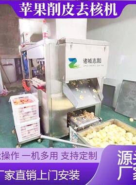 大型水果削皮机商用苹果去皮机梨子削皮去核分瓣一体机多功能