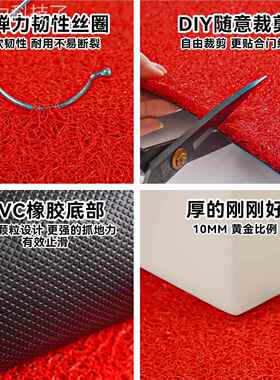 丝圈新地垫20ELH2新款房门口入3平安门垫出免打理家用喜庆入户门