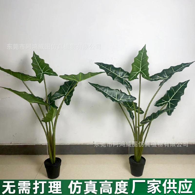 2024新品萨利安海芋绿植大仿真假树装饰仿生植物室内客厅造景摆件