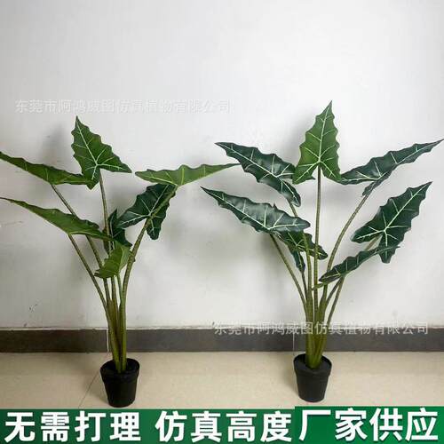 2024新品萨利安海芋绿植大仿真假树装饰仿生植物室内客厅造景摆件