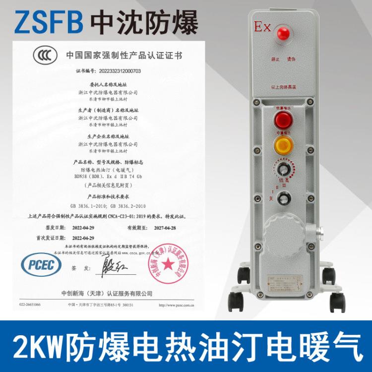 浙江中沈BDN58-2000W防爆密闭式电热油汀电暖气器2KW11片电压220V