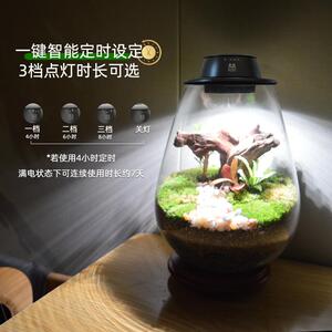 物梵农充电式植物补光灯微景观植电生长灯仿太阳全光谱充款物TEX