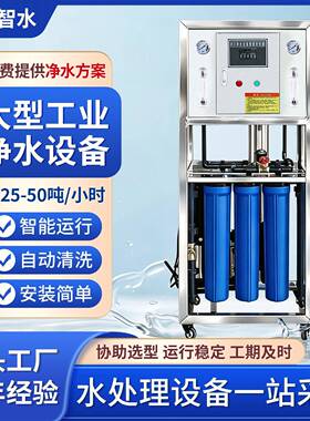 大型工业净水器RO反渗透水处理设备井水地下水去离子软化水设备