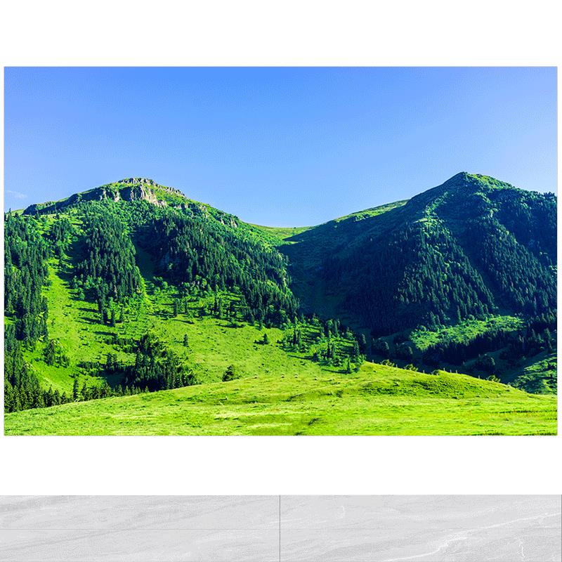 青山风景龙脉靠山图有山无水镇宅旺业风水画茶室书房装饰壁画自粘