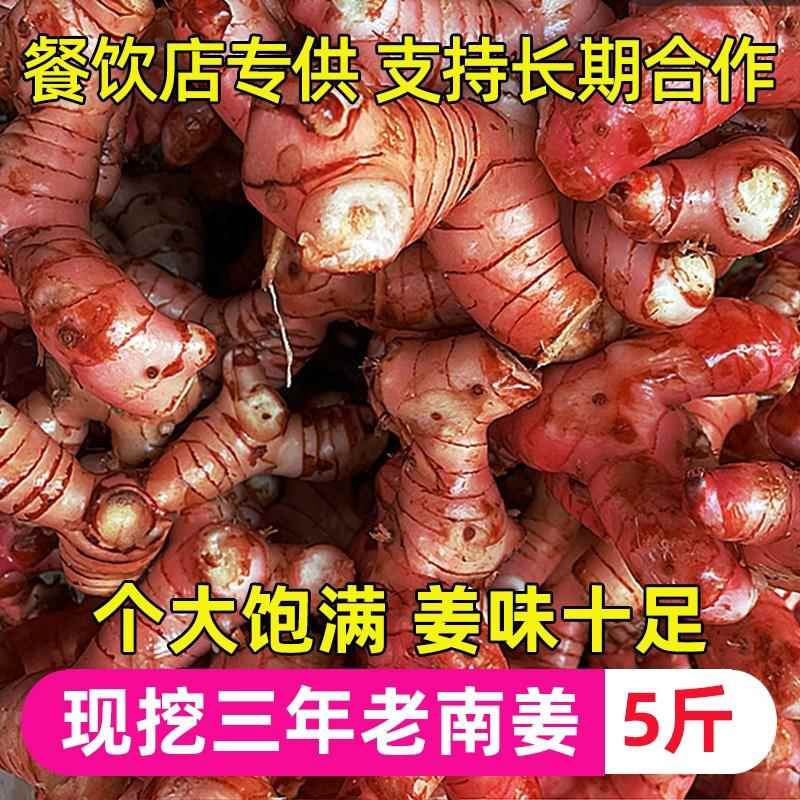 南姜新鲜包邮潮汕山姜头老姜牛羊肉火锅卤味去膻提味调料生姜