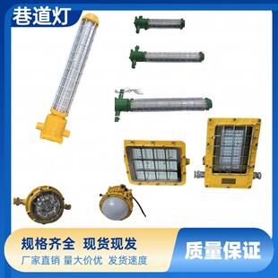 隔爆型LED巷道灯煤矿用隔爆型LED巷道灯 127L 井下用DGC36