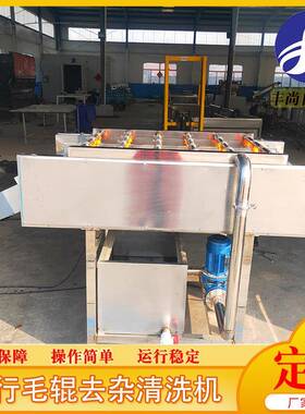 马铃薯毛辊去皮清洗机板蓝根毛辊清洗机根茎类植物去泥清洗机