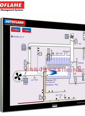 AUTOFLAME燃烧程控器MMM8002.miniMK8 MK8低氮控制器面板