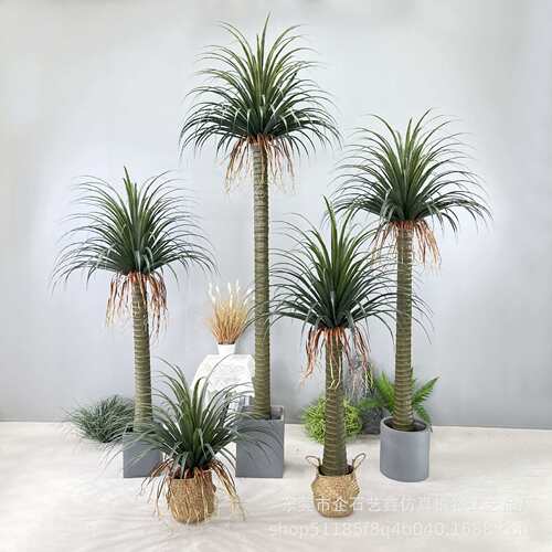 仿真绿植龙血树丝兰铁树植物盆栽家居室内橱窗装饰摆件