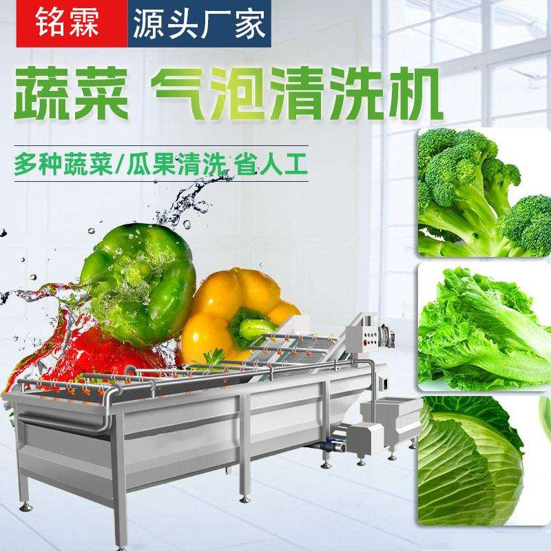 西蓝花生菜清洗机全自动橄榄清洗机设备不锈钢果蔬清洗流水线