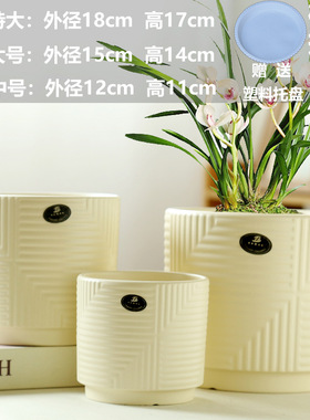 蝴蝶兰亚马逊批发直销陶瓷花瓶