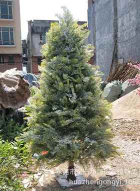 厂直客销各种尺寸形状仿真HZFT001雪松树松柏家树水泥树迎办公室