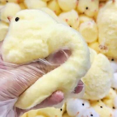 Chick Taba Squishy Toys Ultra Soft Squeeze Fidget rua泥感鸡