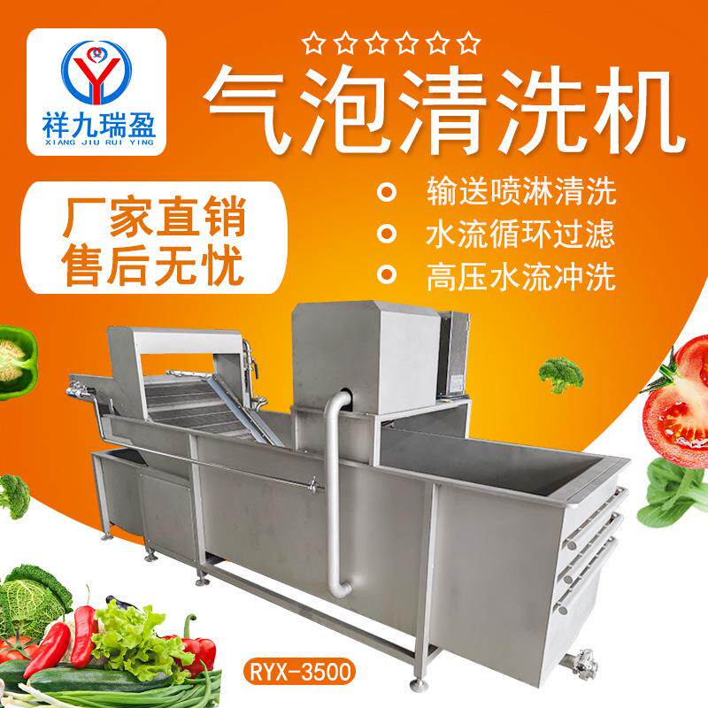 商用蔬菜清洗机叶菜瓜果气泡洗菜机大型青菜气泡清洗机果蔬清洗机