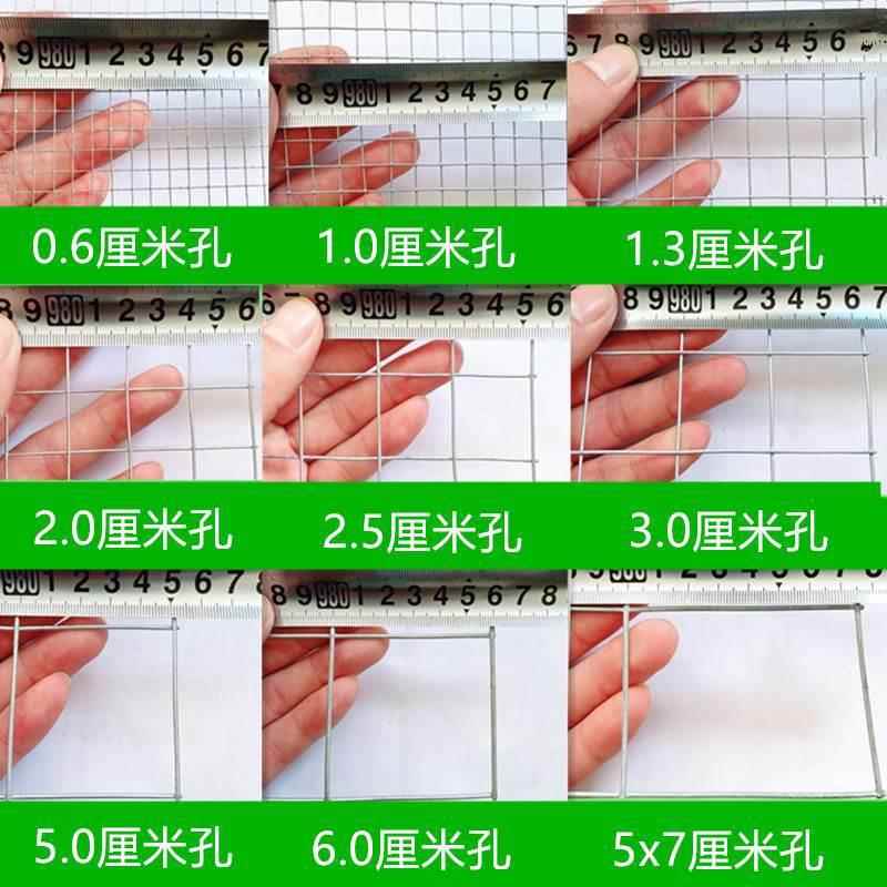 电焊网整卷隔离铁丝网  护栏镀锌钢丝网 防护鼠铁网格 不钢铁丝网