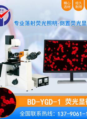 BD-YGD-1倒置荧光显微镜40~1000X明场数码成像生物显微镜