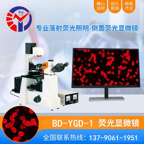BD-YGD-1倒置荧光显微镜40~1000X明场数码成像生物显微镜