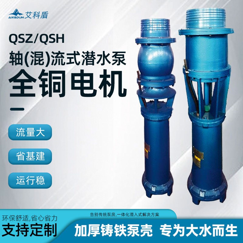 轴流泵大流量建设可免泵房排水泵水利建设QSZ水泵基建一体泵
