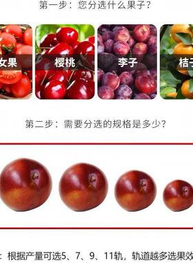 不锈钢枣分果拣机 沅江青枣 雷州青枣分级机轨道式水大小青级分机