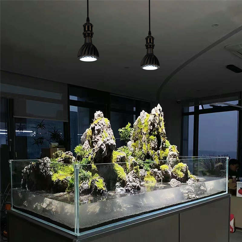 生长光谱鱼缸植物天下全水陆室内光水杨联吊灯自然光补缸光灯灯梅