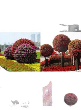 园艺花球花柱园林绿化立体景观花坛 广场景观草球户外花架花球花