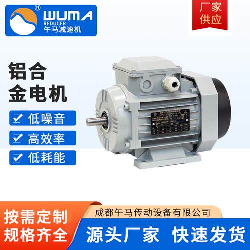 铝合金电机YE2-7124-0.37W-B14-IP55厂家直销