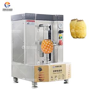 工厂直销小型菠萝削皮机哈密瓜西瓜南瓜菠萝果蔬加工设备