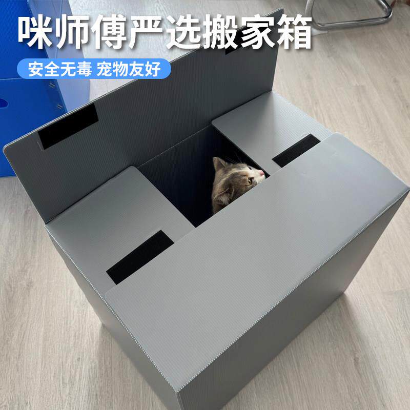 咪师傅严选塑料搬家箱可折叠整理箱防水抗霉收纳箱坚实耐用塑料箱