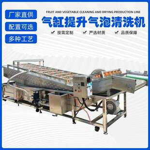 气缸提升式 清洗机肉类气缸提升气泡清洗机山楂苹果瓜果清洗设备