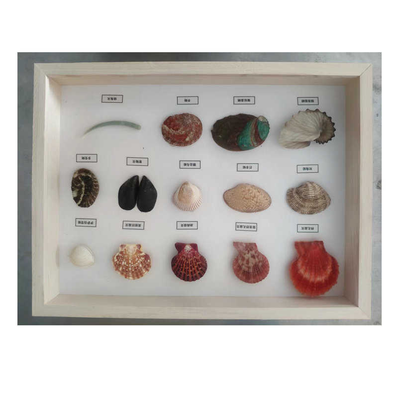 大画框装裱挂墙照片墙A316寸4开8K拼图框挂墙ps发泡相框实木相框