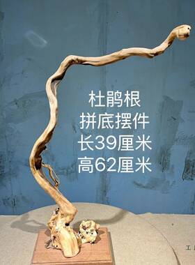 杜风化摆件鹃枯木天然树根客居厅家档F98T9MTT陈设艺术根雕装灯高